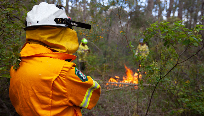 Appointment of Bush Fire Control Officers for 2023-25