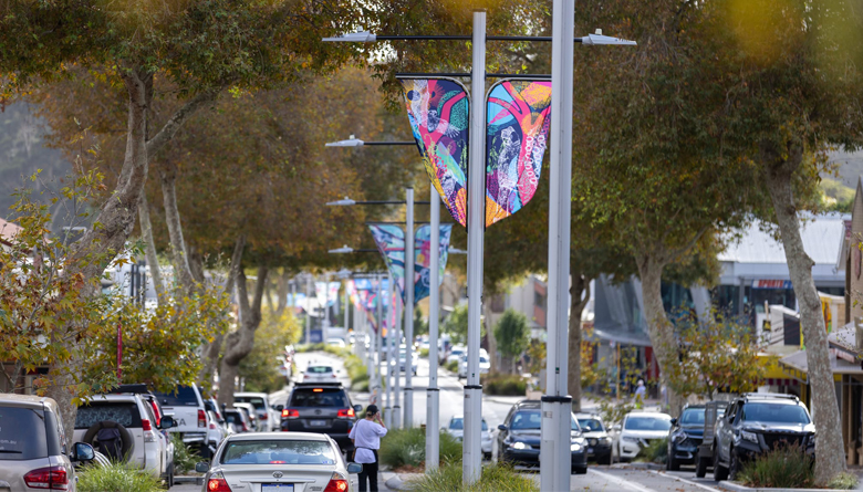 Talented local artists chosen for art banner project