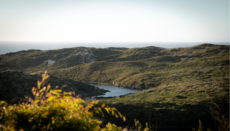 Advocacy Committee on Council Agenda