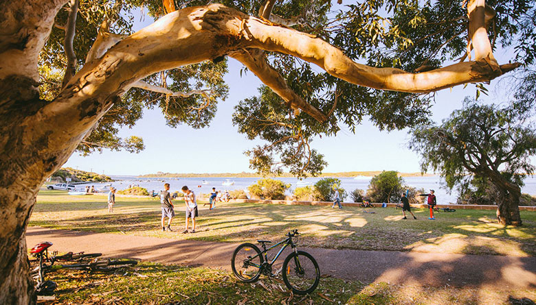  Have Your Say on the Turner Holiday Park Foreshore Renewal