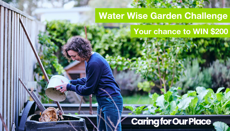 Challenge One: Showcasing Water Wise Gardens