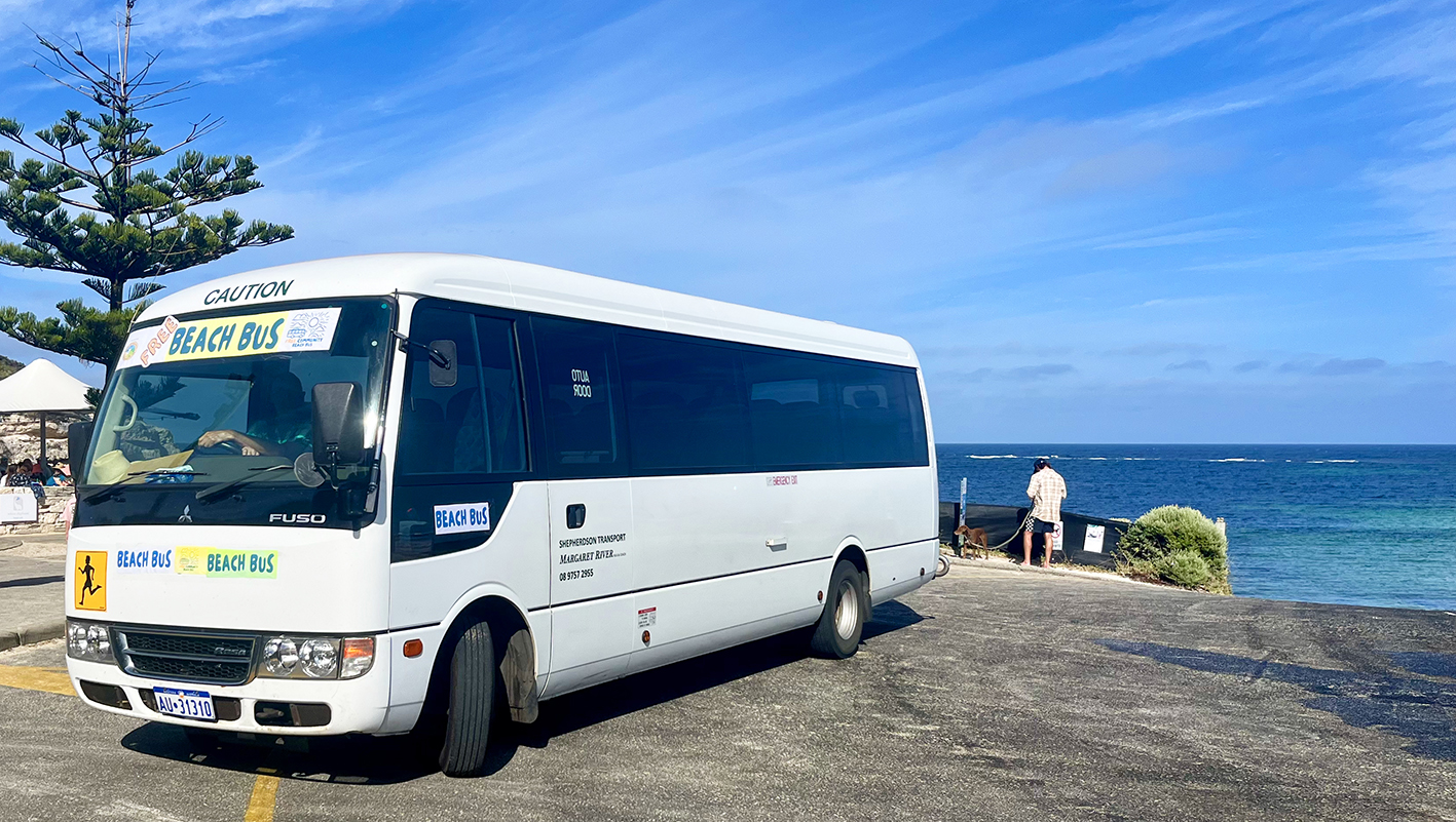 Beach Bus Survey