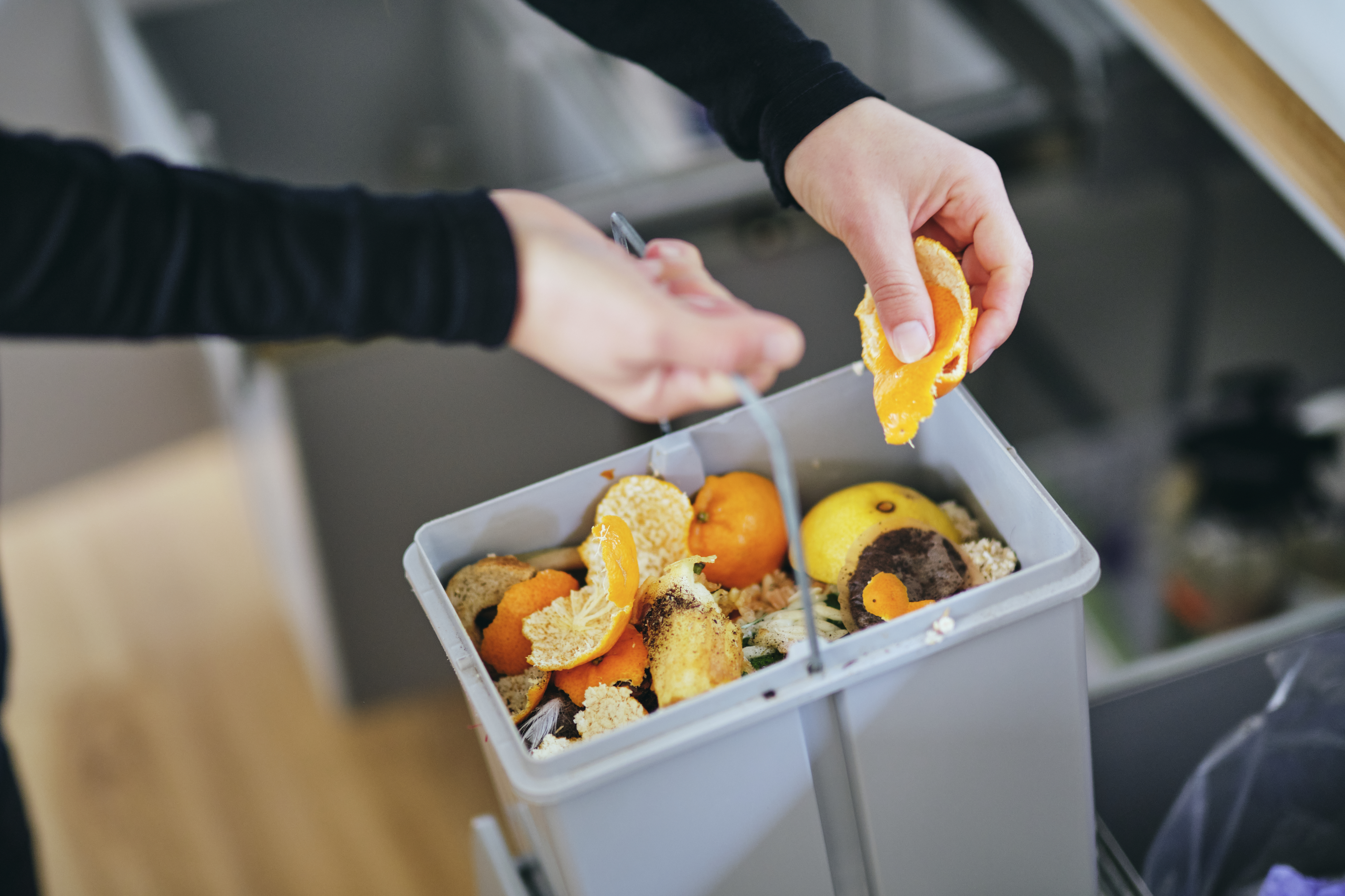 Composting and Worm Farms