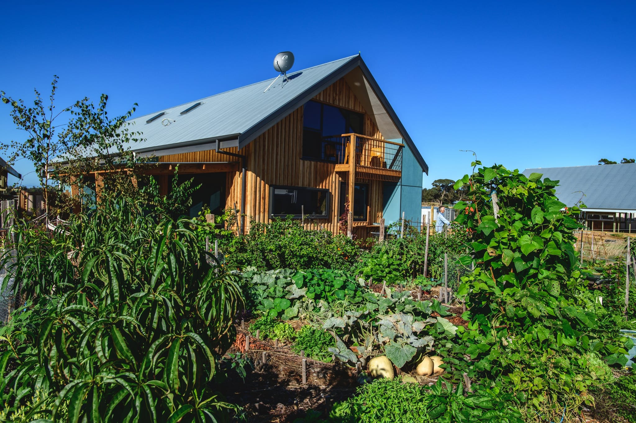 Guide to Environmentally Sustainable Homes